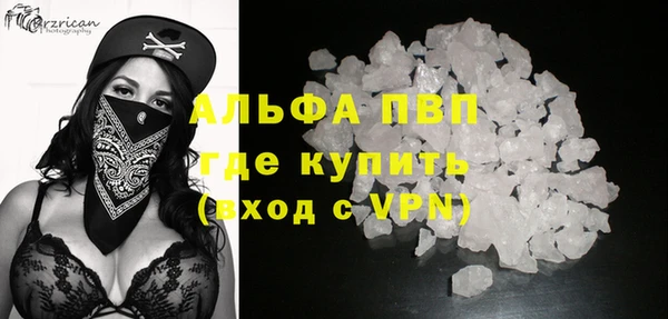 индика Арсеньев