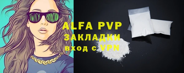 индика Арсеньев