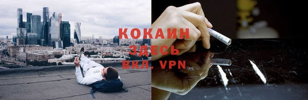 индика Арсеньев