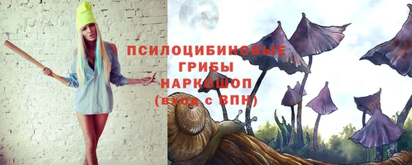MESCALINE Аркадак