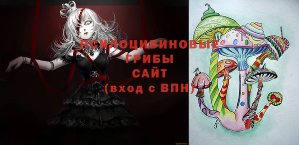 индика Арсеньев