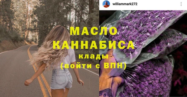 индика Арсеньев